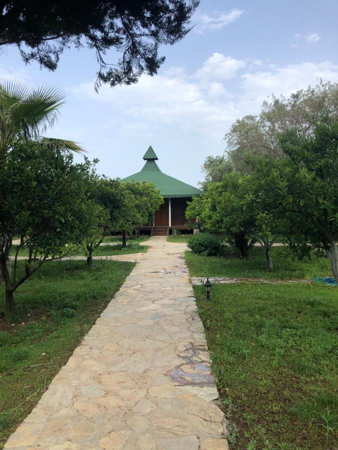 Cirali Armira Bungalow Екстериор снимка