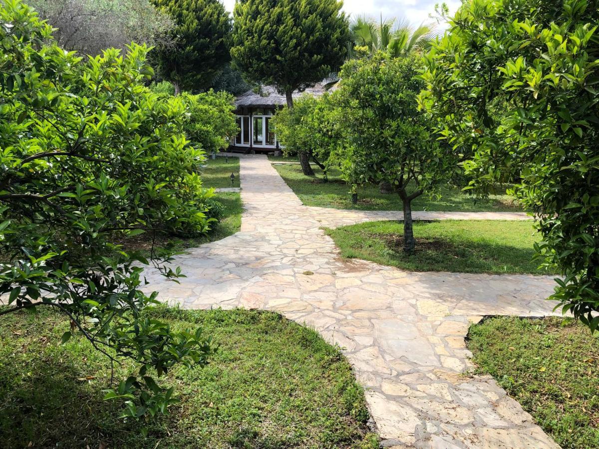 Cirali Armira Bungalow Екстериор снимка
