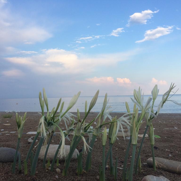 Cirali Armira Bungalow Екстериор снимка