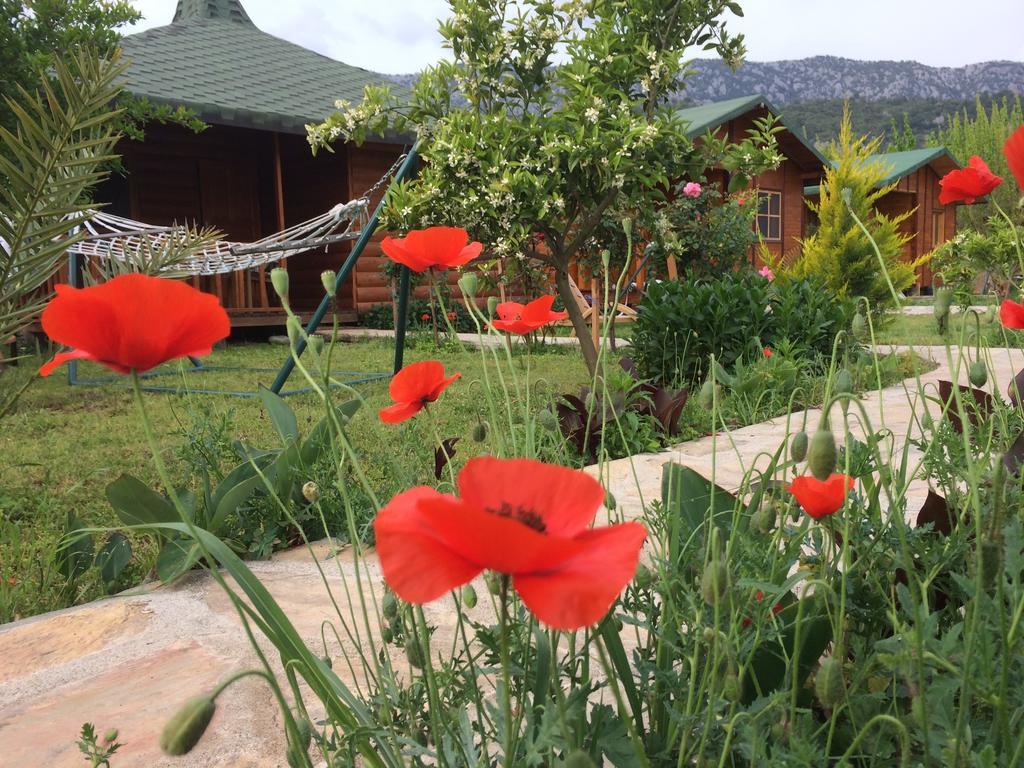 Cirali Armira Bungalow Стая снимка
