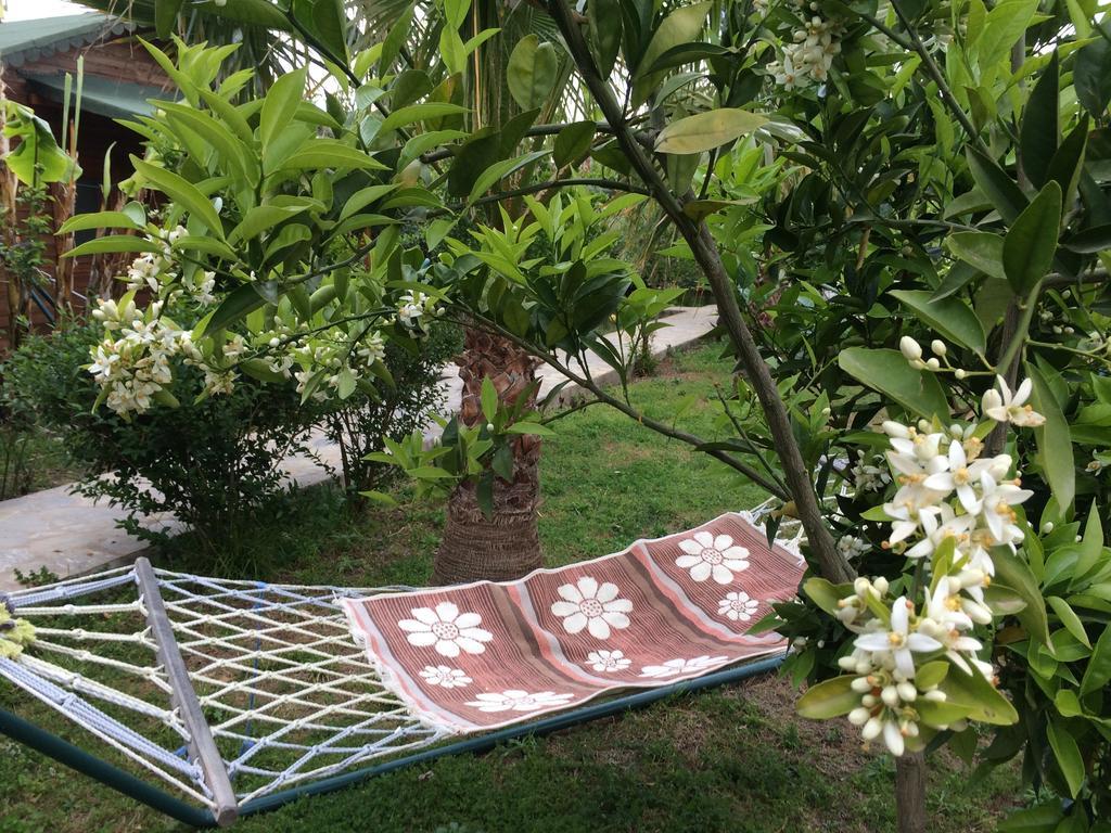 Cirali Armira Bungalow Екстериор снимка
