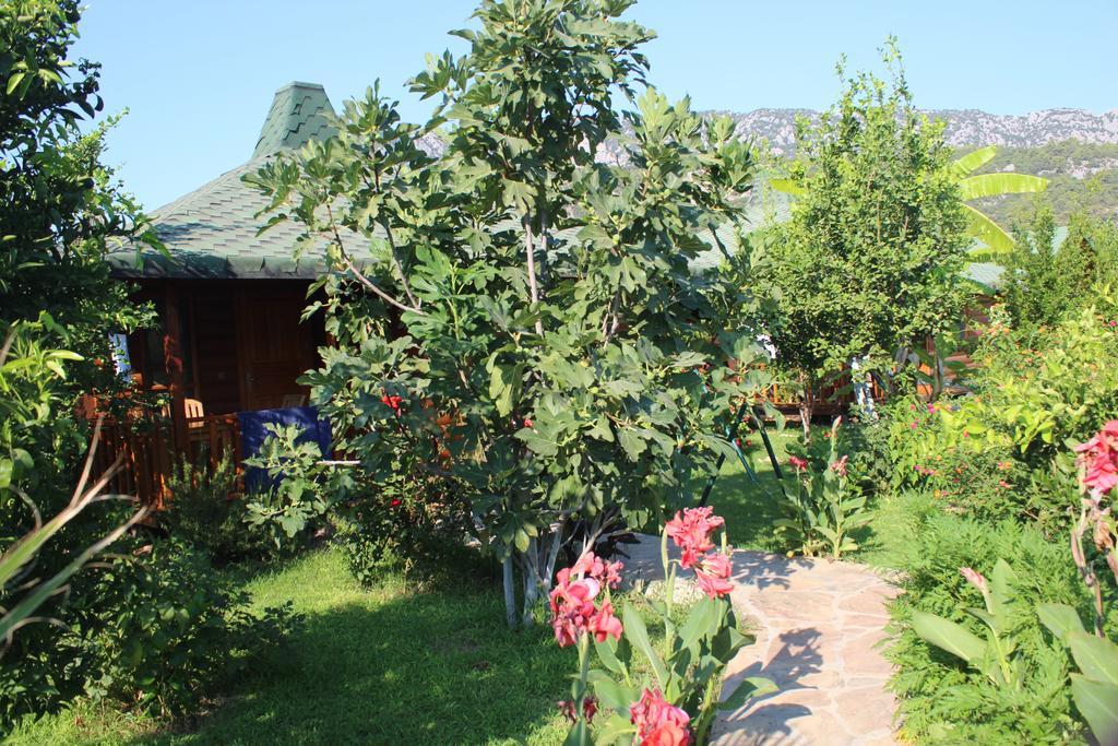 Cirali Armira Bungalow Стая снимка