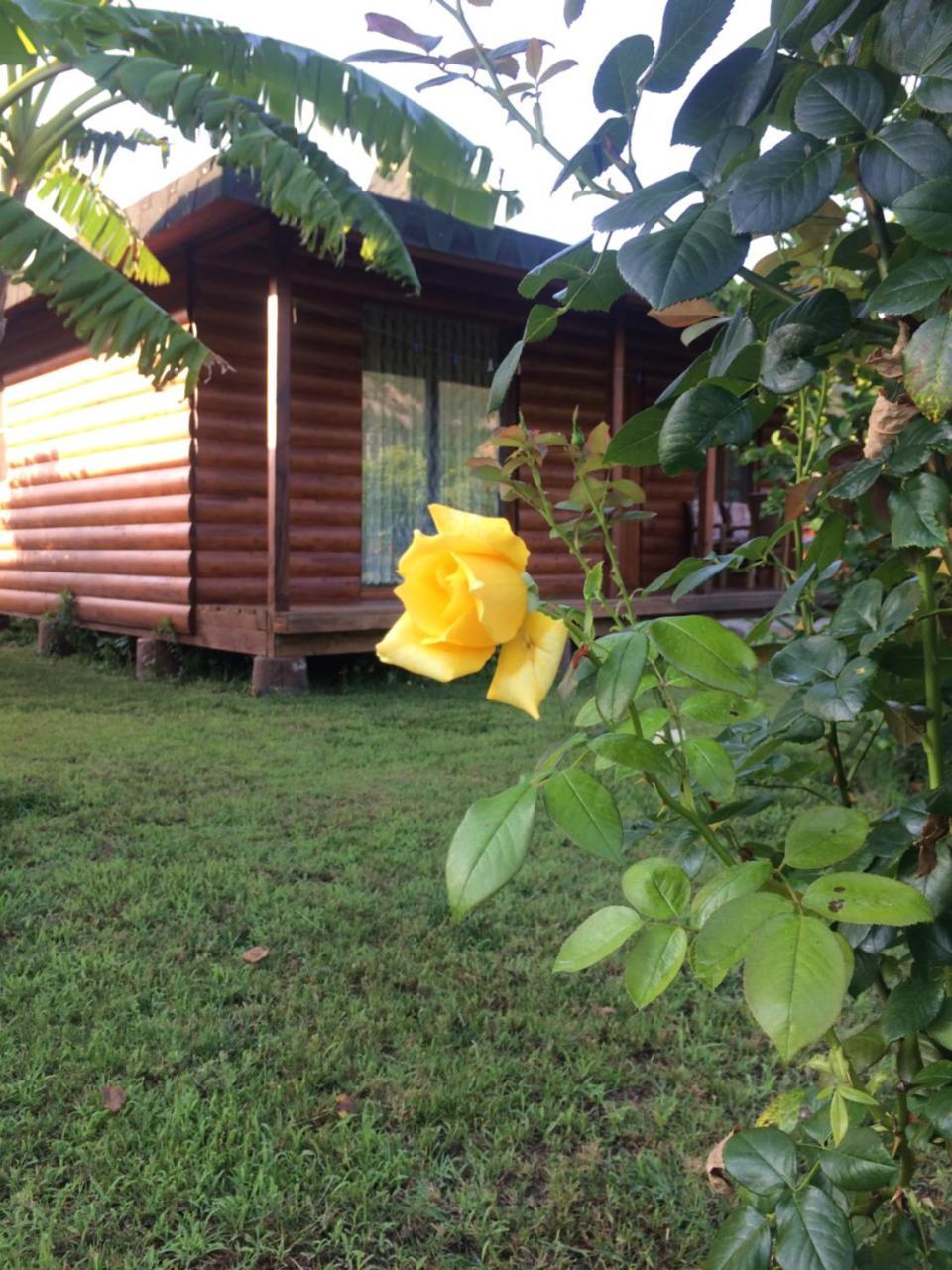 Cirali Armira Bungalow Екстериор снимка