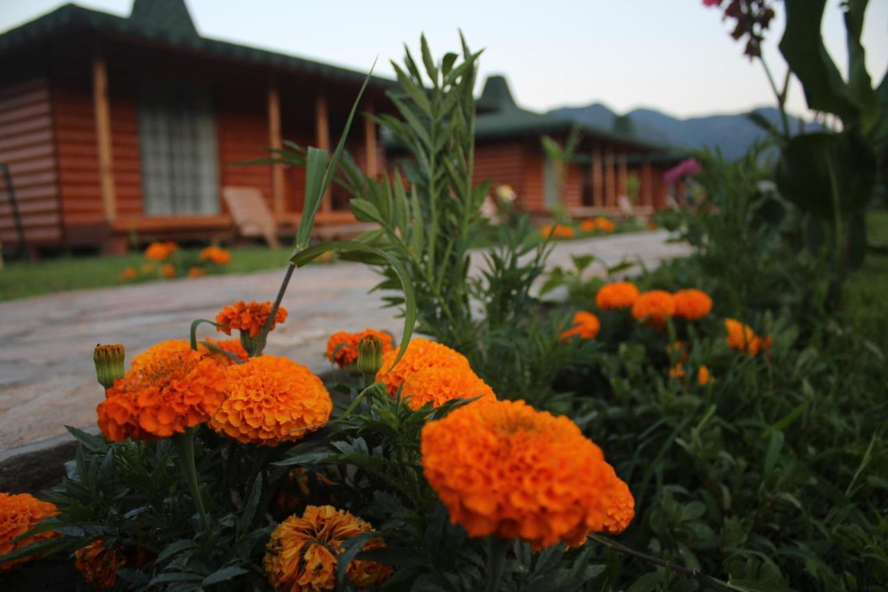 Cirali Armira Bungalow Стая снимка