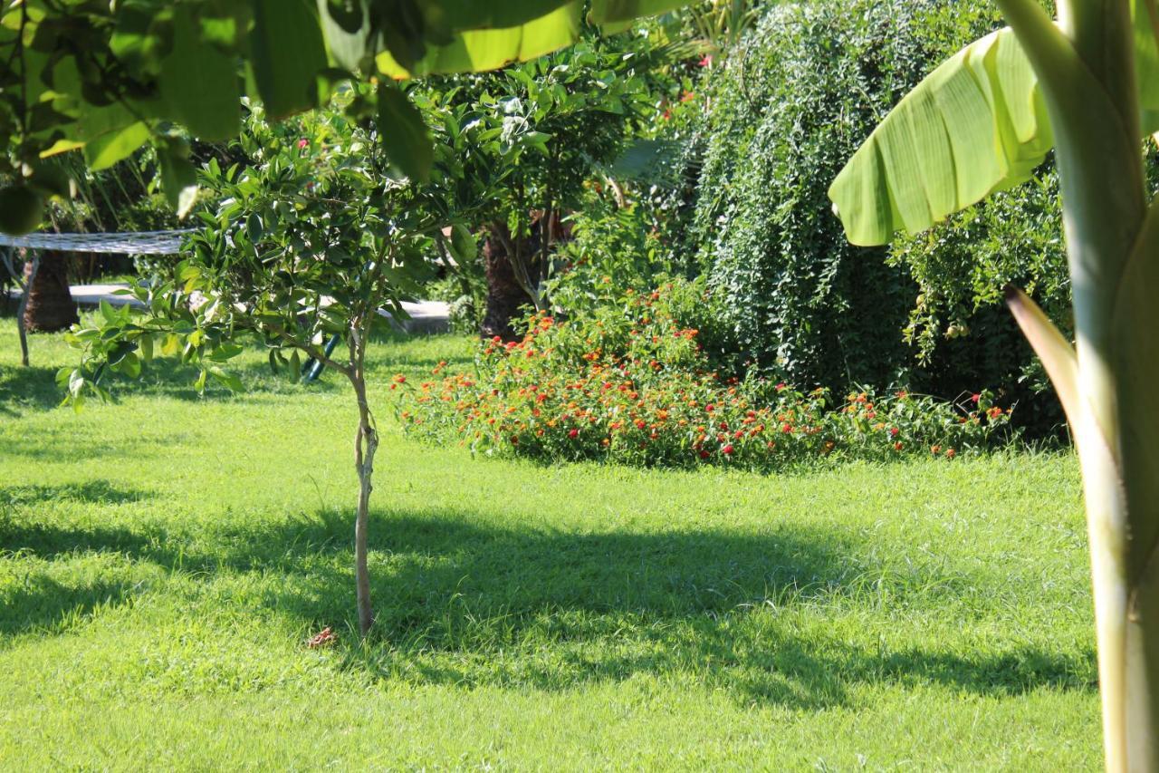 Cirali Armira Bungalow Екстериор снимка